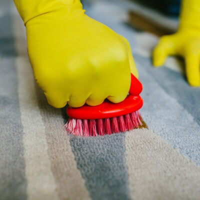 The Best Carpet Stain Removers For Your Home And Office